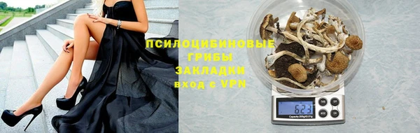 хмурый Нея