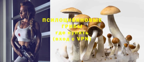 тгк Надым
