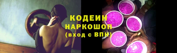 хмурый Нея