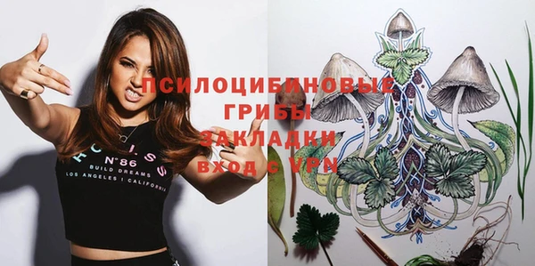 хмурый Нея