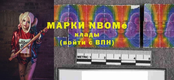 хмурый Нея