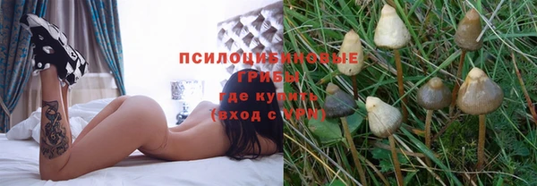 соль ск Навашино