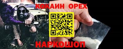дмт Гусев