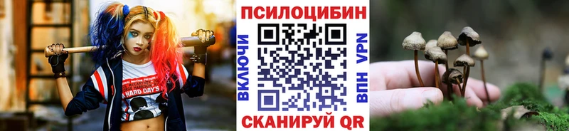 Галлюциногенные грибы MAGIC MUSHROOMS  Павловский Посад 