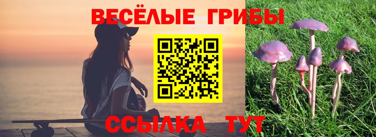 Павловский Посад  Галлюциногенные грибы прущие грибы  Вход с VPN 